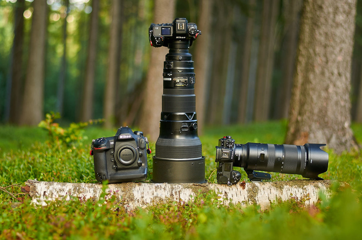 The Best Wildlife Camera for Birds Animals and Nature Photography