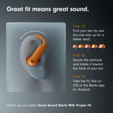 Beats Powerbeats Pro 2 (Black, MX723)