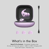Beats Fit Pro Earbuds (Stone Purple) - Norwich Cameras