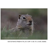 Canon EOS 5D Mark IV Kit with 24-105mm f/4L II Canon