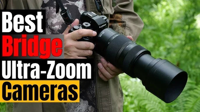 The Best Bridge Camera in 2026 With Ultra Zoom for Every Adventure