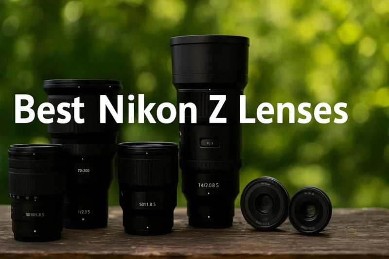 Best Nikon Z Lenses for Travel, Portraits, Wildlife and Everyday Photography