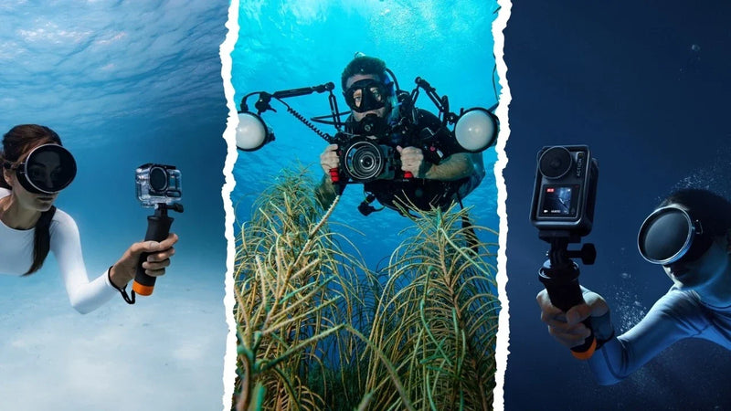 11 Best Underwater Camera Options for Capturing Marine Life in 2026