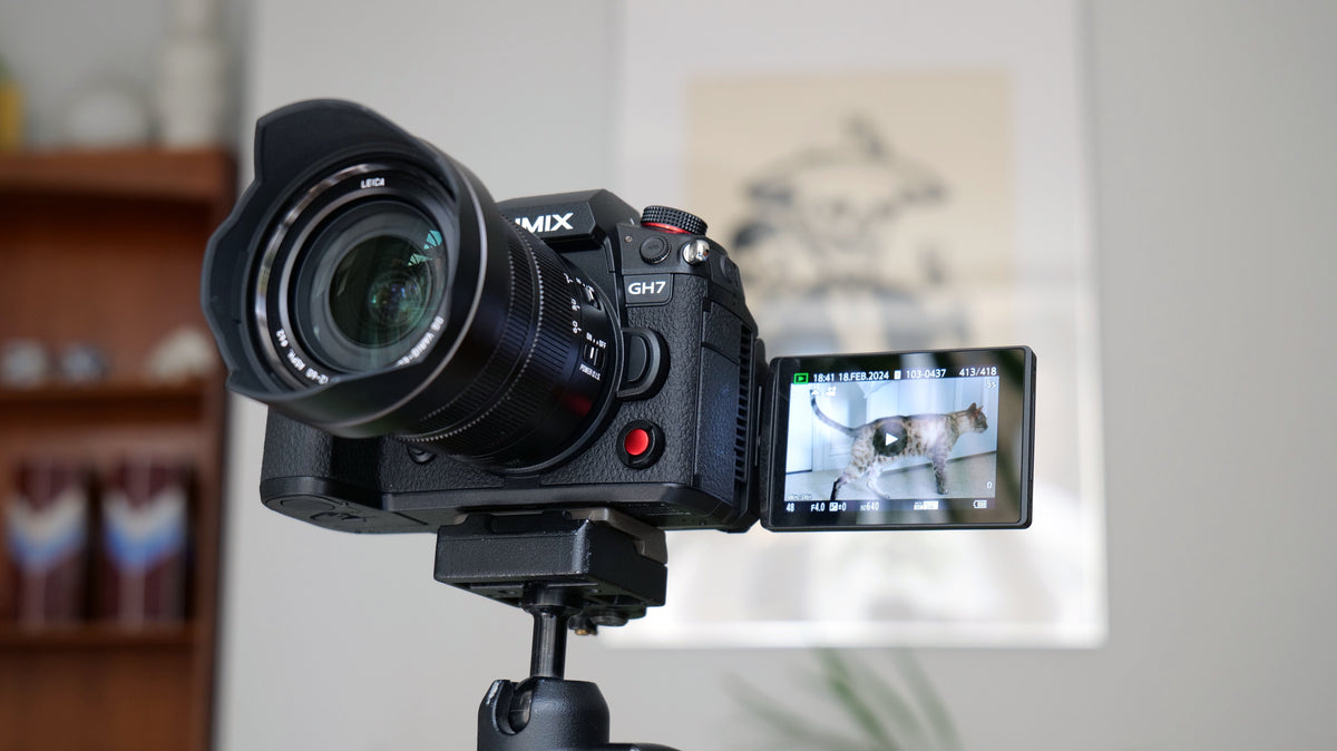 Choose the Camera Type That Fits Your Vlog Choose the Camera Type That Fits Your Vlog