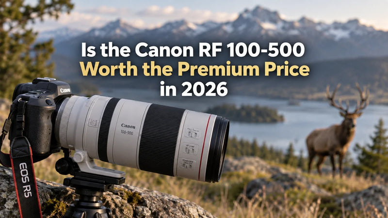 Is the Canon RF 100-500 Worth the Premium Price in 2026?
