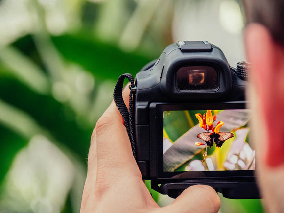 Unlocking the Secrets of Shutter Speed: A Beginner’s Guide to Camera Mastery