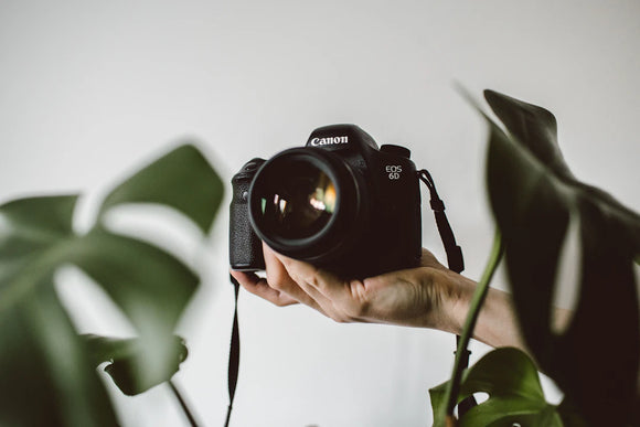 Your Ultimate Guide to Learning About Cameras and Photography