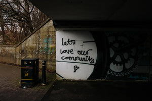 The Impact of Online Communities on Camera Choices