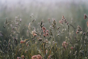 The Incredible Benefits of Full-Frame Cameras