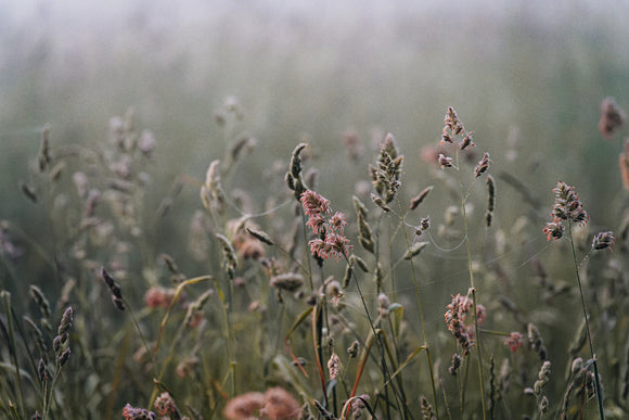 The Incredible Benefits of Full-Frame Cameras