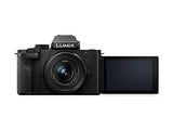 Panasonic Lumix DC-G100D Camera Body