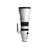 Sigma 300-600mm f/4 DG OS Sports Lens (Sony E)