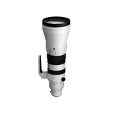 Sigma 300-600mm f/4 DG OS Sports Lens (Sony E)