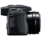 Panasonic DC-FZ80D (DC-FZ80DGN-K) (Black)