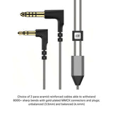 Sennheiser IE 600 In-Ear Headphones