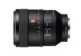 Sony FE 100mm f/2.8 STF GM OSS Lens (SEL100F28GM)