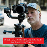 Panasonic Lumix DC-S5 Mirrorless Digital Camera with 20-60mm F3.5-5.6 Lens + Lumix S 85 f1.8 (S-S85)