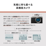 Panasonic Lumix DC-S9N (18-40mm F4.5-6.3) (Silver, DC-S9N-S)