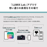 Panasonic Lumix DC-S9 Body (Silver, DC-S9-S)