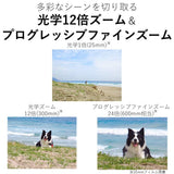 Canon IXY 650 M (Silver)