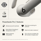 Beats Powerbeats Pro 2 (Sand, MX733)
