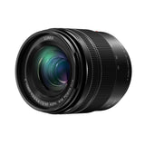 Panasonic Lumix DC-G100DM Black (with 12-60mm f/3.5-5.6)