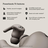 Beats Powerbeats Fit (Gray)