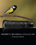 Nikon Z 180-600mm F/5.6-6.3 VR Lens