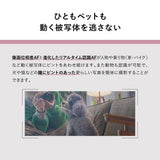 Panasonic Lumix DC-S9 Kit with S 20-60mm f/3.5-5.6 Lens (Silver) (DC-S9KS)