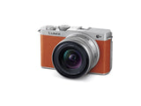 Panasonic Lumix DC-S9N (18-40mm F/4.5-6.3) (Orange, DC-S9N-D)