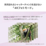 Panasonic DC-FZ85D (Black)