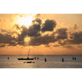 Nikon Z6 III + Z 24-200 F4-6.3