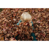 Sigma 56mm f/1.4 DC DN Contemporary Lens (Canon RF)