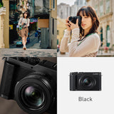 Panasonic Lumix DC-L10 Premium Compact Camera (Black)