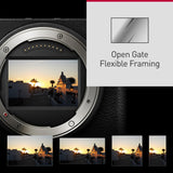 Panasonic Lumix DC-S9K (S 20-60 F3.5-5.6) (Black, DC-S9KGN)