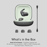 Beats Fit Pro Earbuds (Sage Grey)