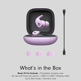 Beats Fit Pro Earbuds (Stone Purple)