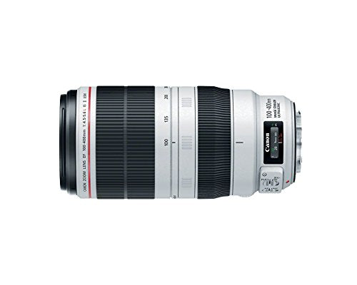 Canon EF 100-400mm f/4.5-5.6 L IS II USM Lens