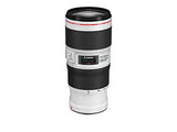 Canon EF 70-200mm f/4.0 L IS II USM