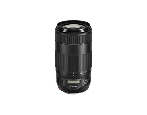 Canon EF 70-300mm f/4-5.6 IS II USM Lens