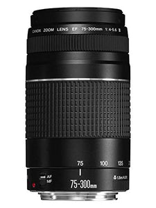 Canon EF 75-300mm f/4-5.6 III Lens