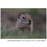 Canon EOS 5D Mark IV Kit with 24-105mm f/4L II