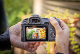 Canon EOS R8 with RF 24-50 F/4.5-6.3 IS STM Lens