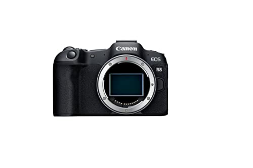Canon EOS R8 with RF 24-50 F/4.5-6.3 IS STM Lens