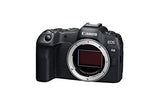 Canon EOS R8 with RF 24-50 F/4.5-6.3 IS STM Lens