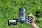 Canon EOS R8 with RF 24-50 F/4.5-6.3 IS STM Lens
