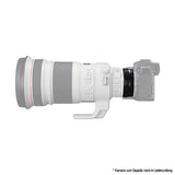 Canon Mount Adapter EF-EOS R (Retail Packing)