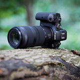 Canon RF 100-400mm f/5.6-8 IS USM Lens