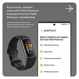 Fitbit Charge 5 Fitness Wristband (FB421) (Black / Graphite)