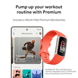 Fitbit Charge 6 Fitness Wristband (Coral+Champagne Gold)